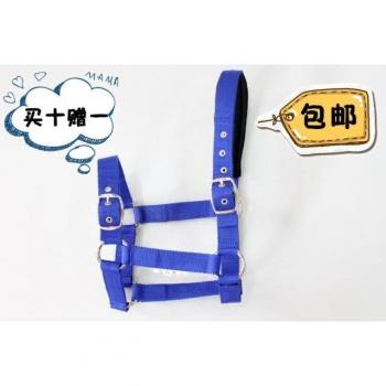 Versatile Equine Halter