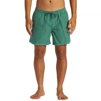 QUIKSILVER Herren Surfshorts Everyday Surfwash Volley 15 grün S