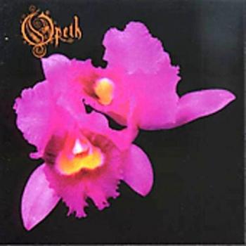 Orchid