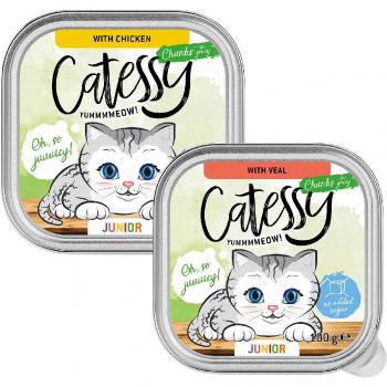Catessy Junior Bocaditos con Salsa Misto 48x100 g – Promoción 32 Grátis