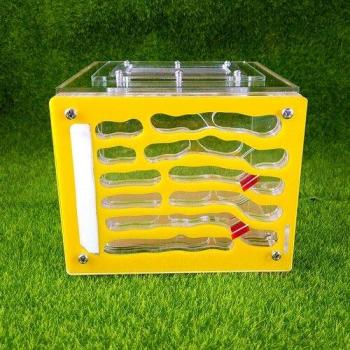 Maison stratifiée pour fourmis en acrylique