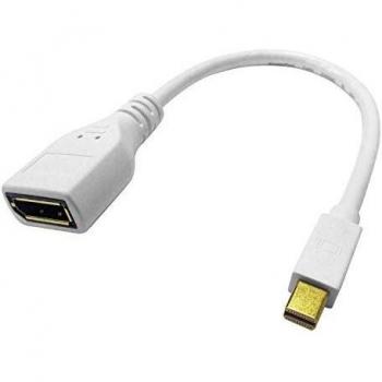 ROLINE DisplayPort v1.2 Adapter I 4K Ultra HD Auflösung