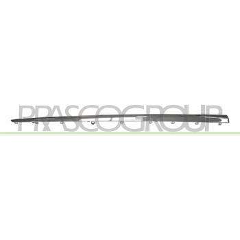 Protection de Porte PRASCO RN7501414