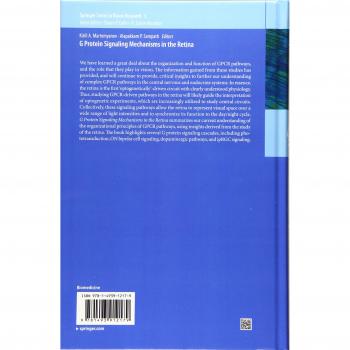 G Protein Signaling Mechanisms in the Retina (Springer Series in Vision Research, 3, Band 3)