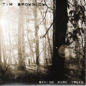 Behind Dark Trees