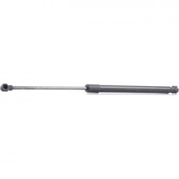 RIDEX Pistoncini portellone TOYOTA 6895009120