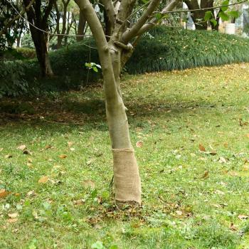 VidaXL Jute Rolle 0,25x50 m 100% Jute 200 g/m²