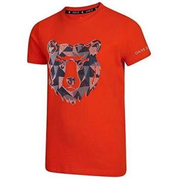 Dare 2b T-shirt Junior 100% Coton Frenzy Mixte Enfant, Cajun Orange, FR : L