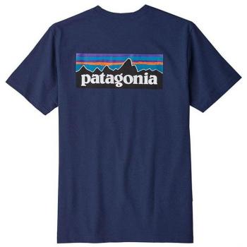 Patagonia T-shirt Homme P-6 Logo Responsibili-Tee, Vert
