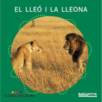 El Lleo I La Lleona, El Bosc De Colors