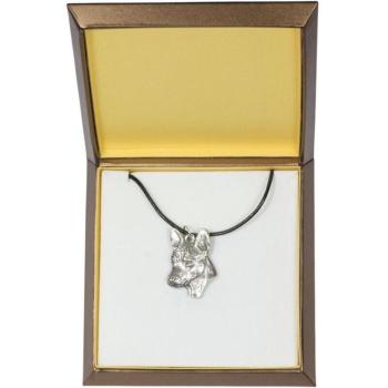 Collier Chien Congo en Coffret Cadeau
