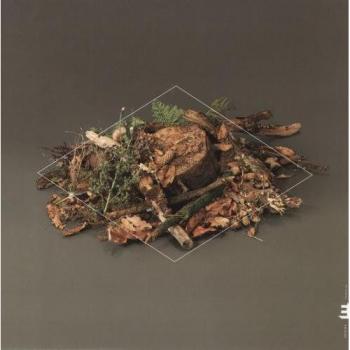 Plancher Forestier, Vinyle Coloré de Fergus Mccreadie