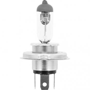 Flosser Halogeenlamp Model P43t