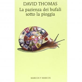 La pazienza dei bufali sotto la pioggia