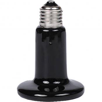 Lampe Chauffante pour Tortues et Lézards