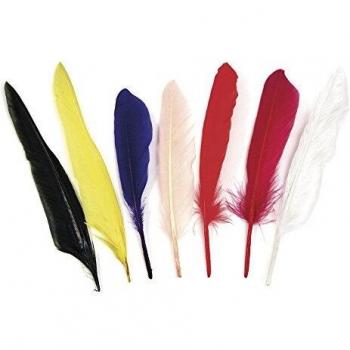 Indische Federkörner 17,5 cm – 12‑Paket