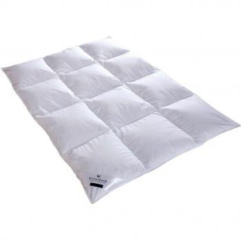 Billerbeck Deckenmodell 5542120001 – Kids E02 Alina Kassette II (100 × 135 cm)