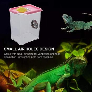 Invertebrate Feeding Box