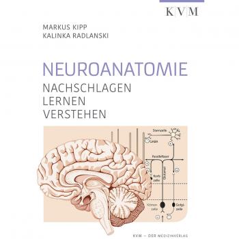 Markus Kipp Neuroanatomie: Nachschlagen, Lernen, Verstehen