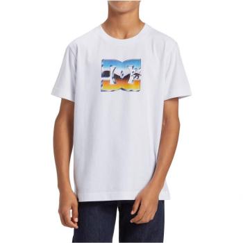 Camiseta de Niños de DC Shoes