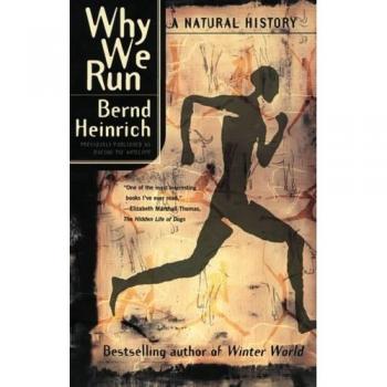 Why We Run