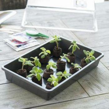 Terrine Jardin Sans Tête – Anthracite