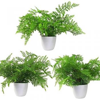 Pack of 3 x 30cm Artificial Ferns