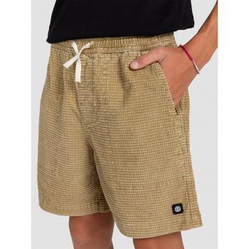 Pantalones Cortos de Corduroy Element marrón