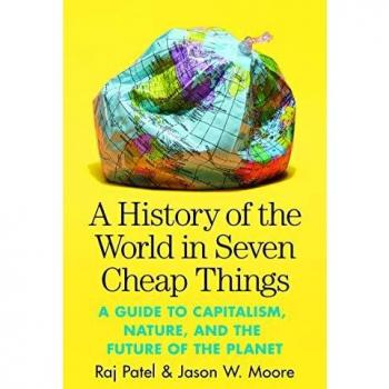 History of the World in Seven Cheap Things by Raj Patel Paperback Book
