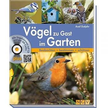 Vögel zu Gast im Garten Axel