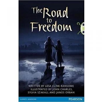 Bug Club Comprehension Y6 The Road to Freedom 12-pack