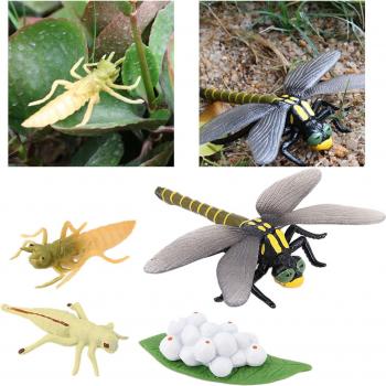 Aventure Insecte