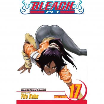 Bleach Volume 17: Rosa Rubicundior, Lilio Candidior by Tite Kubo Paperback Book