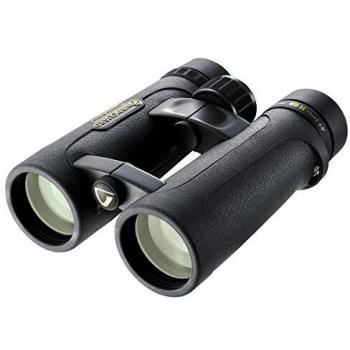 Vanguard Endeavor ED II 1042