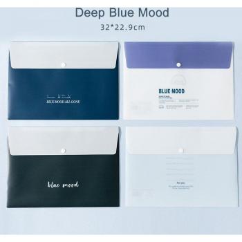 A4 Document Storage Bag