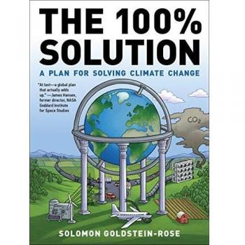 The 100 Solution by Solomon GoldsteinRose