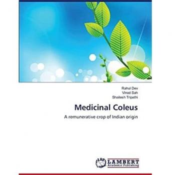 Medicinal Coleus: A remunerative crop of Indian origin