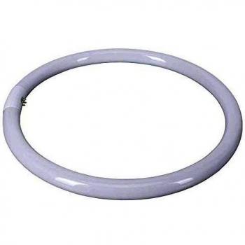 Philips LED Master TL5 Circular T5 Fluorescent Tube 22W 840 Cool White