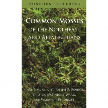Princeton Common Mosses of Northeast and Appalachians