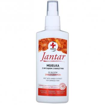 Spray de Tratamento para Cabelo Danificado Ideepharm 200 ml