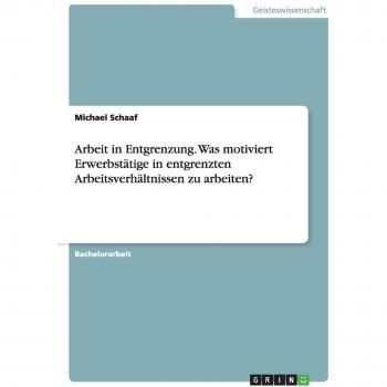 Arbeit in Entgrenzung. Was motiviert Erwerbstätige in entgrenzten Arbeitsverhältnissen zu arbeiten?