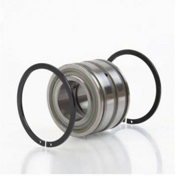Roulements à rouleaux cylindriques Sl045014 54 mm Ext 110 mm Int 70 mm Foret Cylindrique .ina (4 pcs)