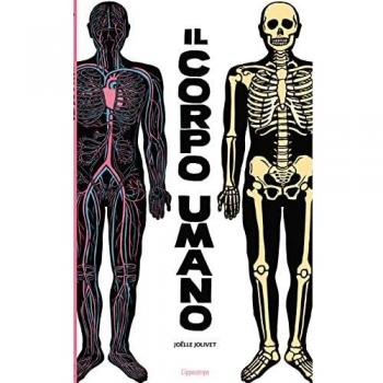 Il corpo umano. Ediz. a colori