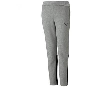 PUMA teamCUP Jogginghose für Kids Grau 164