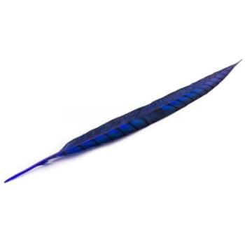 Pluma Faisán Lady Amherst 40-45 Cms