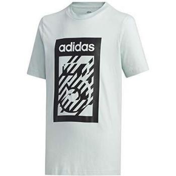 Camiseta adidas para Niños Yb Box, matver, 164 (13/14 años)