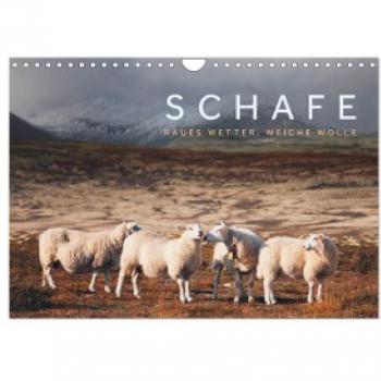 Schafe