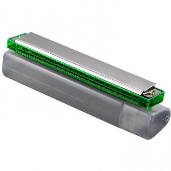 Accordion Diatonic Harmonica