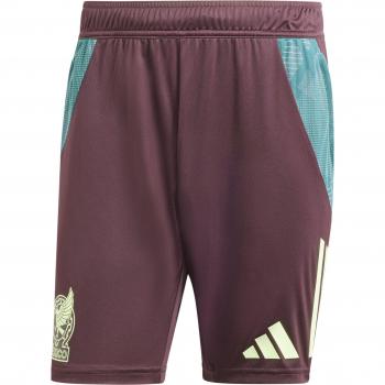 Adidas Male Training Shorts – Burgundy, 2024/25 Edition, Size S