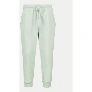 Didriksons Jogginghose Green Regular Fit – 505004